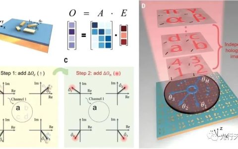 光学响应噪声调控成功突破光学超构表面偏振复用极限