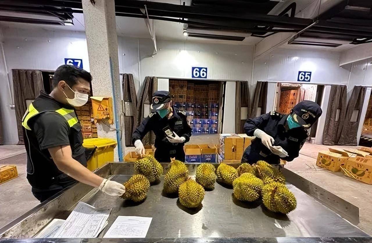 凭祥：东盟水果之都助力“果盘子”端得更稳