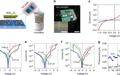 用于神经形态视觉处理的G/M/G光忆阻器