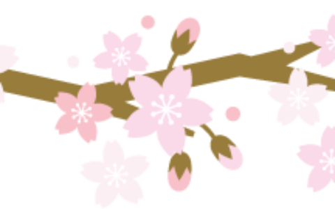 多彩贵州·花漾中国｜知知慢直播带你浪漫云赏樱