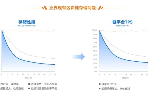 一款面向区块链可信数据存储的技术