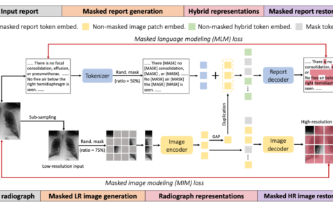 利用视觉+语言数据增强视觉特征