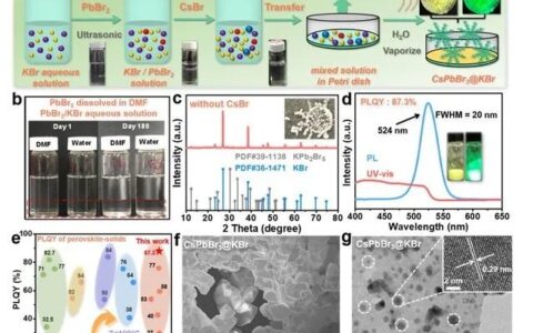 华东理工在自供电可穿戴传感器领域取得新进展