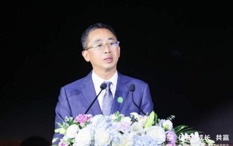 数据中心的能源之翼：华为数据中心能源与伙伴共同飞翔