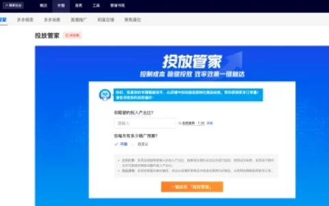 拼多多投放管家是什么以及商家应该如何使用该工具？
