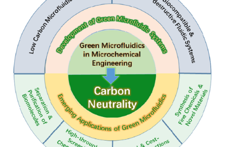 面向碳中和的微化工绿色微流控体系
