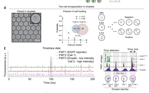 用于细胞互作正向遗传筛选的SPEAC-seq平台