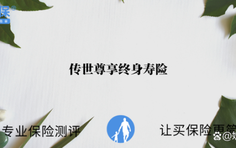 传世尊享终身寿险，收益怎么样？-传世尊耀