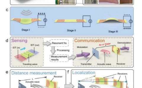 浙江大学谢金：基于柔性压电声学的多功能、可穿戴贴片用于传感、定位和水下通信！