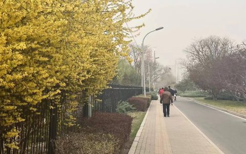 还在吸土？戴森空气净化耳机首发中国，售价近7000，李佳琦直呼“我不配”-戴森空气净化器介绍