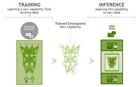 NVIDIA 与飞桨团队合作开发基于 ResNet50 的模型示例