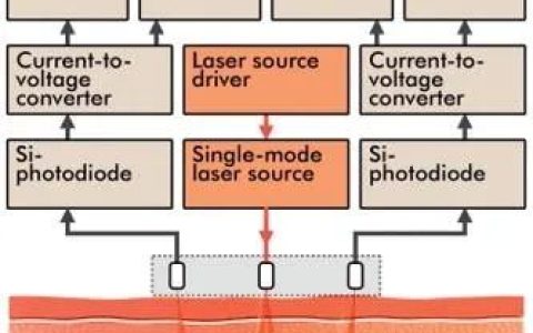 时频分析和激光多普勒频谱分解技术诊断皮肤血管并发症
