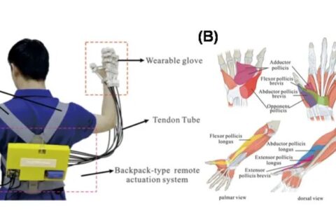 中科院：柔性外骨骼机器人研究取得新进展