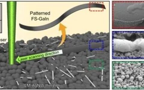 液态金属薄膜导体实现3D表面的高度可拉伸电极