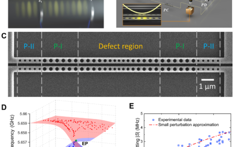基于光声晶体微腔的片上声学奇异点分析