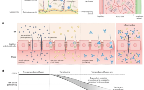 真皮间质液在诊断应用方面的机遇与挑战