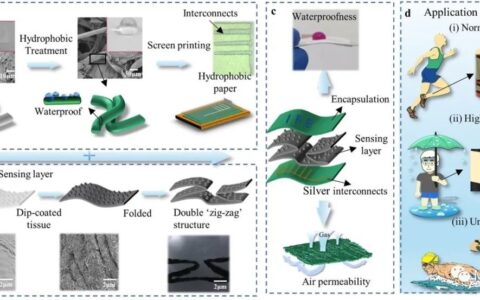开发一种具有防水性和透气性的全纸基传感器