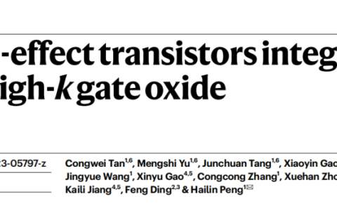 全新二维半导体垂直鳍片/高介电自氧化物外延集成架构