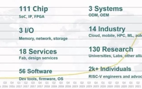 RISC-V的C位进击之路