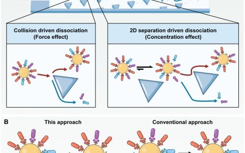 识别分子筛选的开发与挑战