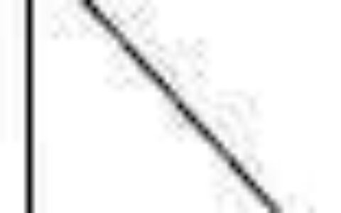 知云译论文润色服务上线了