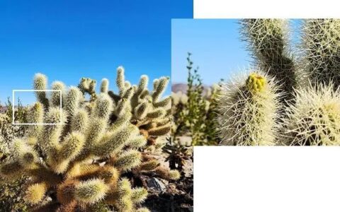 三星2亿像素图像传感器ISOCELL HP2，用科技定义未来移动影像