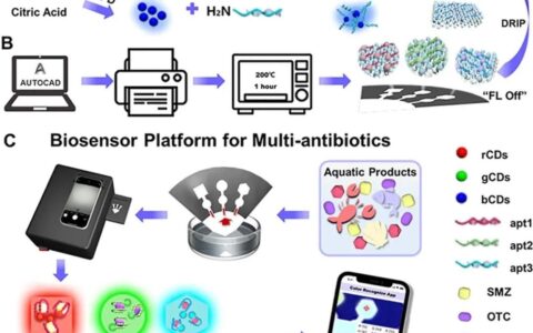 基于多色荧光碳点传感器的纸基微流控芯片
