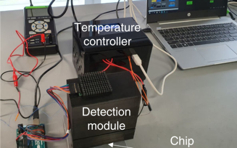 用于实时PCR扩增或LAMP终点检测的微流控芯片