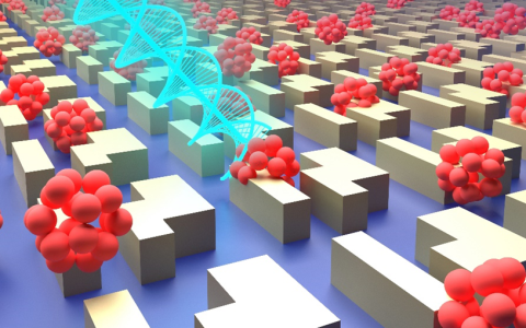 基于强化学习的生物分子手性传感器