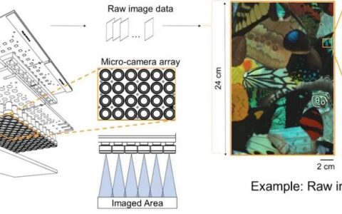 一种带有定制微光学元件的可穿戴显微镜