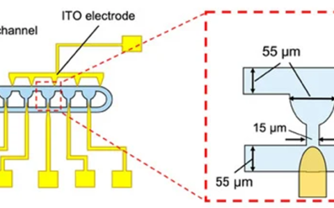 可用于单细胞分析的选择性液滴提取微流控装置