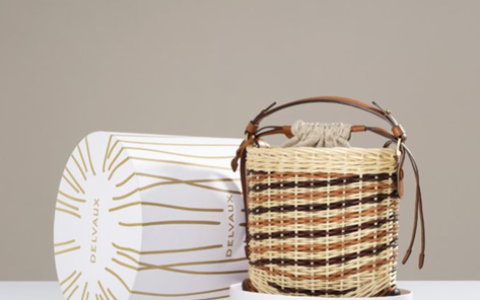 Delvaux是什么牌子 今日份的“包治百病”推荐