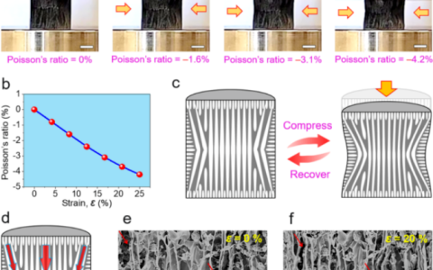 中山大学：在超结构泡沫传感器取得新进展，用于设计和构建基于多样的构建单元的超结构材料