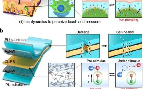 基于CLiPS的电子皮肤器件用于高灵敏压力传感