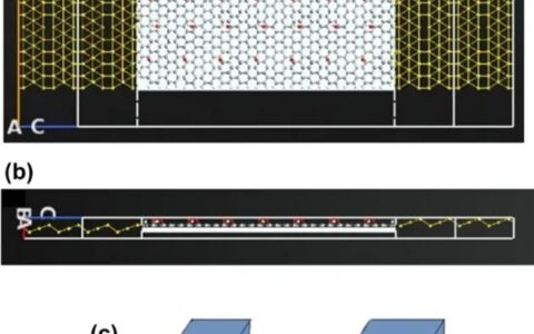 一种用于检测SARS-CoV-2的还原氧化石墨烯场效应晶体管生物传感器