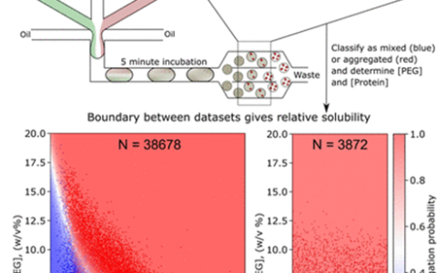 用于多维度蛋白质溶解度优化的超高通量微流控平台