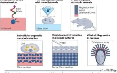 生物医学应用的量子传感器概述