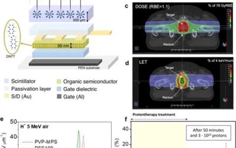 一种用于质子束实时监测的柔性全有机探测器