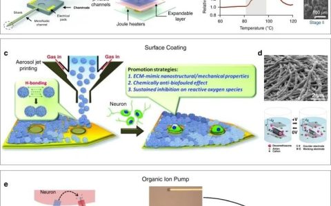 同时进行神经记录和化学传递的多功能探针