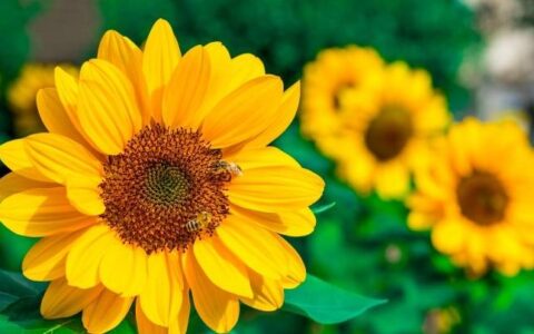 原创
属马人：谁是你的贵人，谁又是小人？