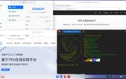 成功适配算能SG2042服务器板卡！deepin for RISC-V新进展