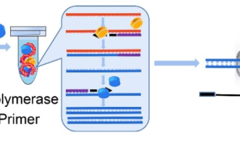 耦合PCR技术实现各种致病菌和病毒核酸的检测