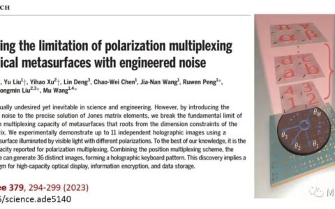 利用单一超构表面成功获得高达11个独立偏振通道