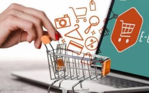 价值5980：焰麦TNT电商学院抖店无货源5.0进阶版密训营