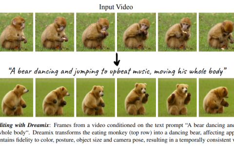 谷歌新作Dreamix：视频扩散模型是通用视频编辑器，效果惊艳！