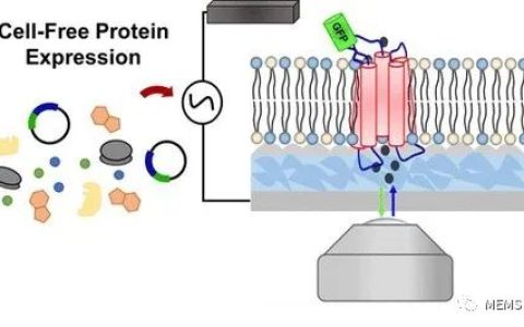 具有透明组件的生物传感器给予光学技术用武之地
