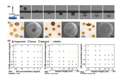 科学家开发石墨烯气凝胶颗粒，用于高效水净化
