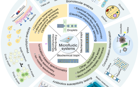 用于真菌和细菌分析的集成微流控系统的最新进展