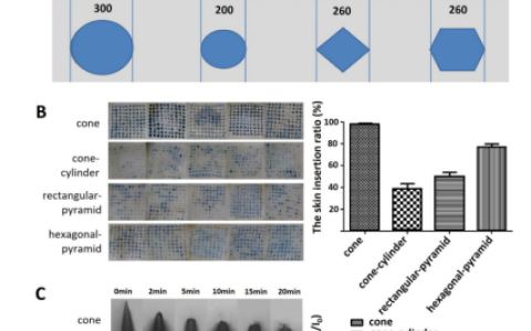 用于药物输送的溶解微针的性能增强方法研究进展
