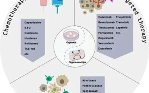 综述：用于预测结直肠癌系统性治疗疗效的类器官和器官芯片研究进展